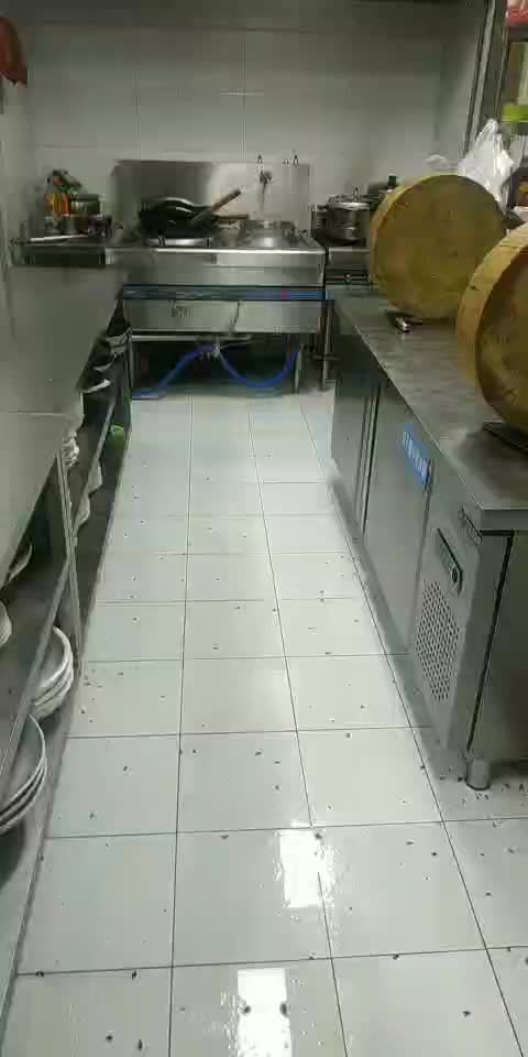 滅蟑螂/滅鼠/滅跳騷/消毒殺菌/除味/除甲醛/除四害/除蟲(chóng)/除蟻提供滅螞蟻/除臭蟲(chóng)/除蟑螂/捉壁虎/捉蝙蝠/服務(wù)