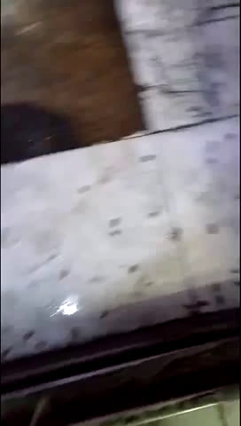 推銷(xiāo)勿擾！北京除蟲(chóng)除蟻滅蟑螂，滅老鼠滅臭蟲(chóng)滅跳蚤滅螞蟻，正規消殺公司！