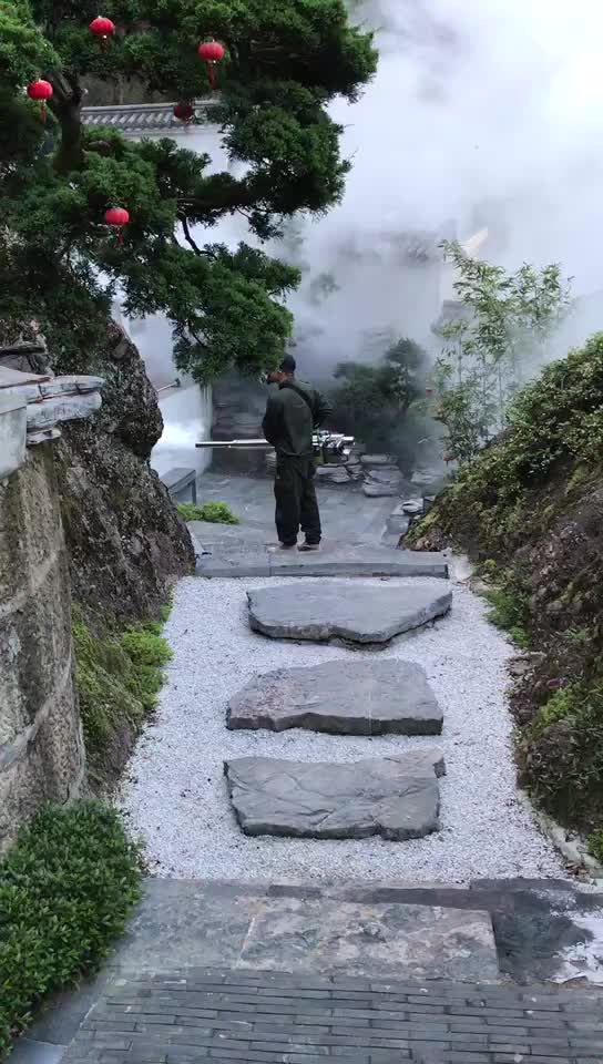 捕鼠，灭老鼠，除鼠除虫除蚁提供除蟑螂、除蚊蝇等服务