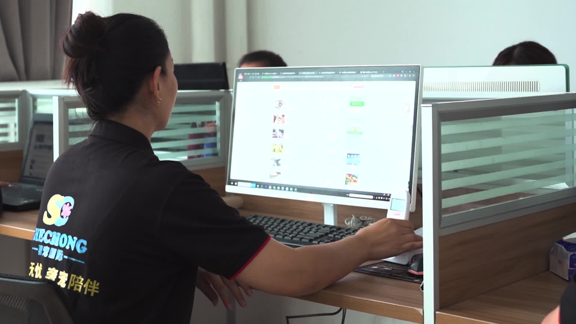 宠物托运国际国内 狗狗猫咪 空运火车空调专车上门接送 全程视频含保险