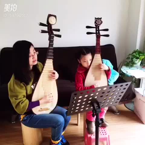 北京豐臺(tái)零基礎(chǔ)學(xué)琵琶 樂(lè)器考級(jí)培訓(xùn)