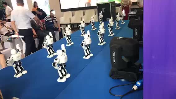 香港本地机器人租赁，机器人出租，机器人主持商演