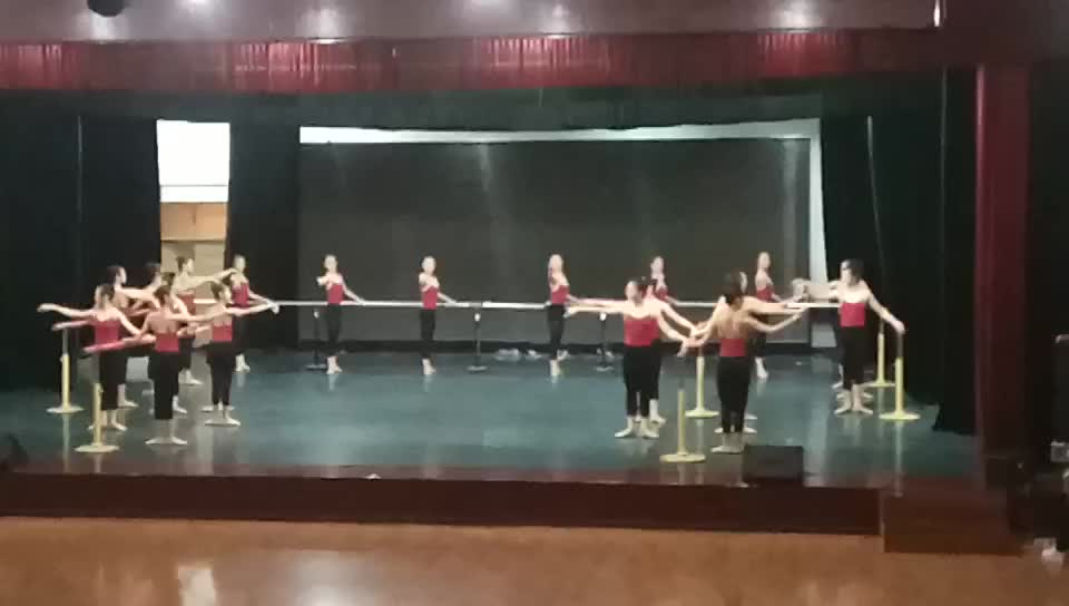 少儿芭蕾舞 中国舞 拉丁舞 中国舞 民族舞 