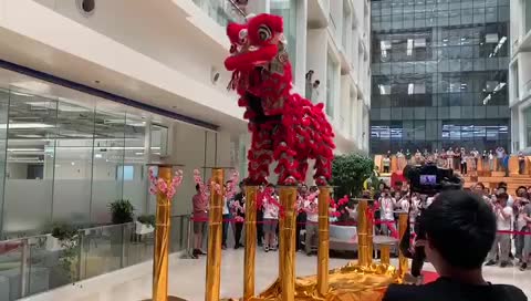 春節(jié)舞龍舞獅表演團(tuán)隊(duì)、梅花樁舞獅、新春舞獅拜神